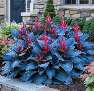 Хоста Грин Фог купить по цене от 669р. в интернет-магазине «Посадика» с доставкой почтой в в Пошехоньее и по всей России – [изображение №1].