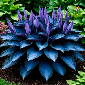 Хоста Сикрет Гров купить по цене от 570р. в интернет-магазине «Посадика» с доставкой почтой в в Пошехоньее и по всей России – [изображение №1].