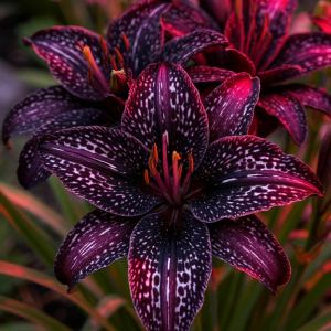 Лилейник Вояж купить по цене от 699р. в интернет-магазине «Посадика» с доставкой почтой в в Пошехоньее и по всей России – [изображение №1].